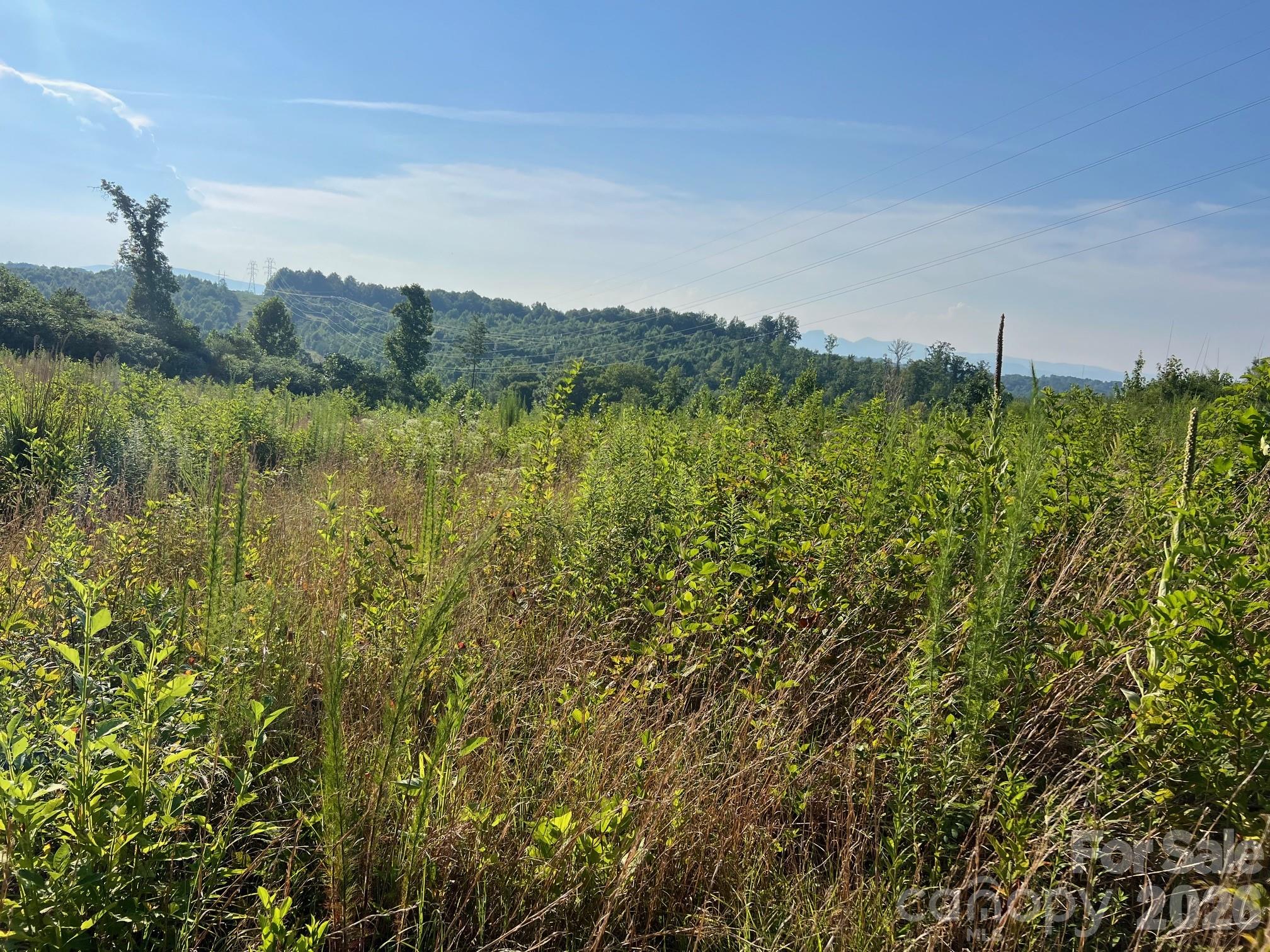 Acreage at 1156 Carbon City Road, Morganton, photo 3 of 8