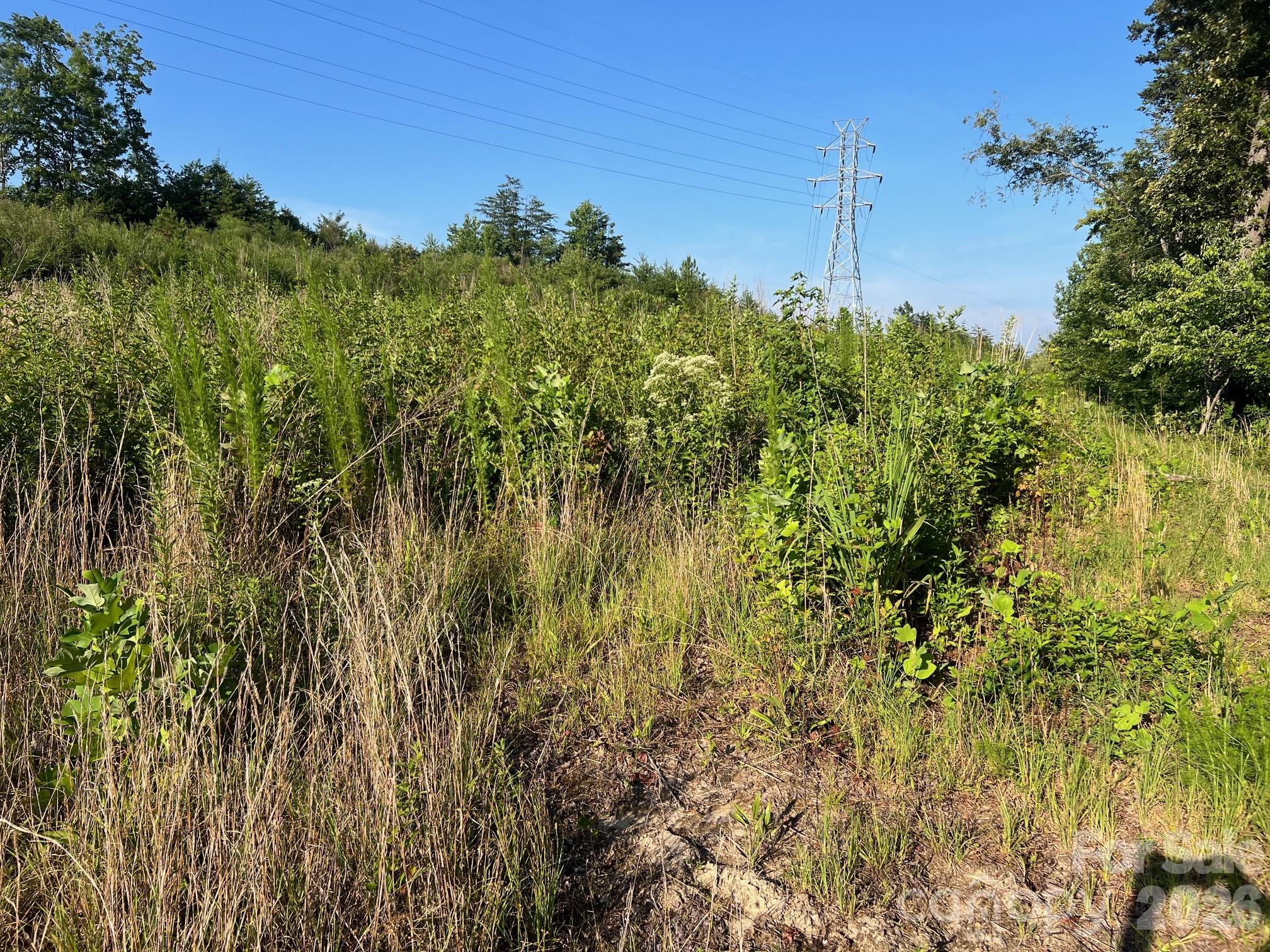 Acreage at 1156 Carbon City Road, Morganton, photo 8 of 8