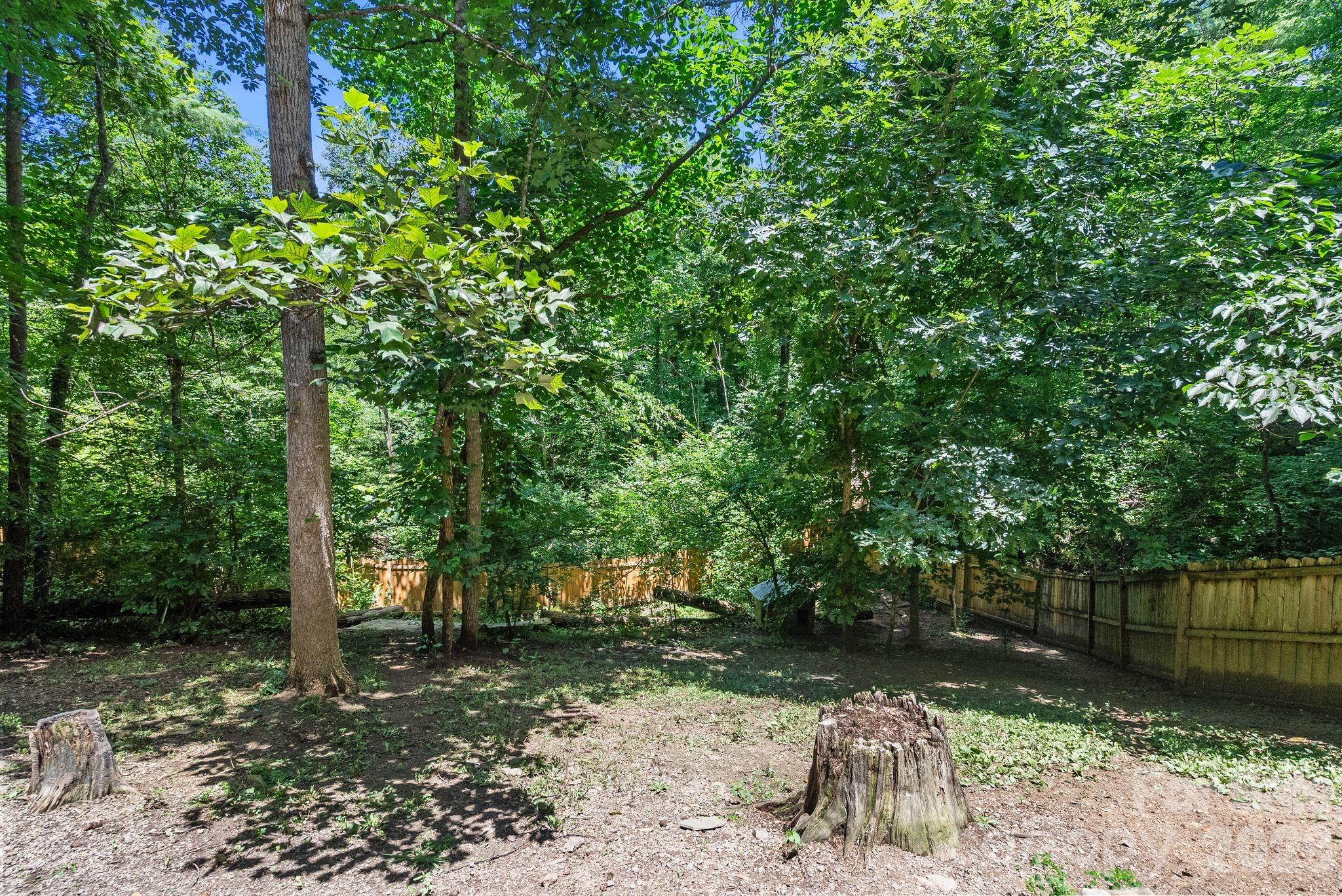 Fenced Backyard - 15 Forest Ridge Lane, Weaverville