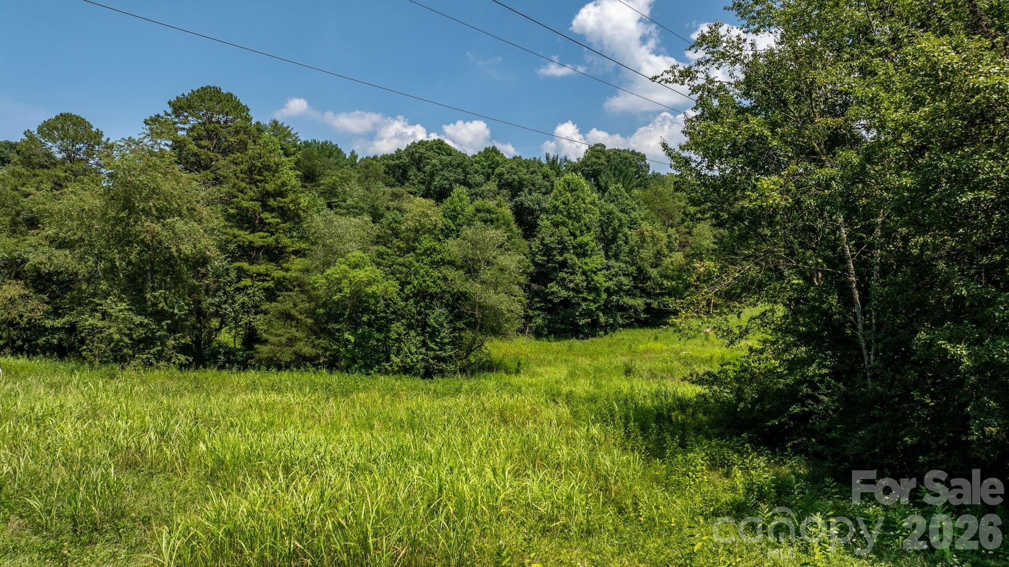 Acreage at 0 Monroe Road, Hickory, photo 3 of 8