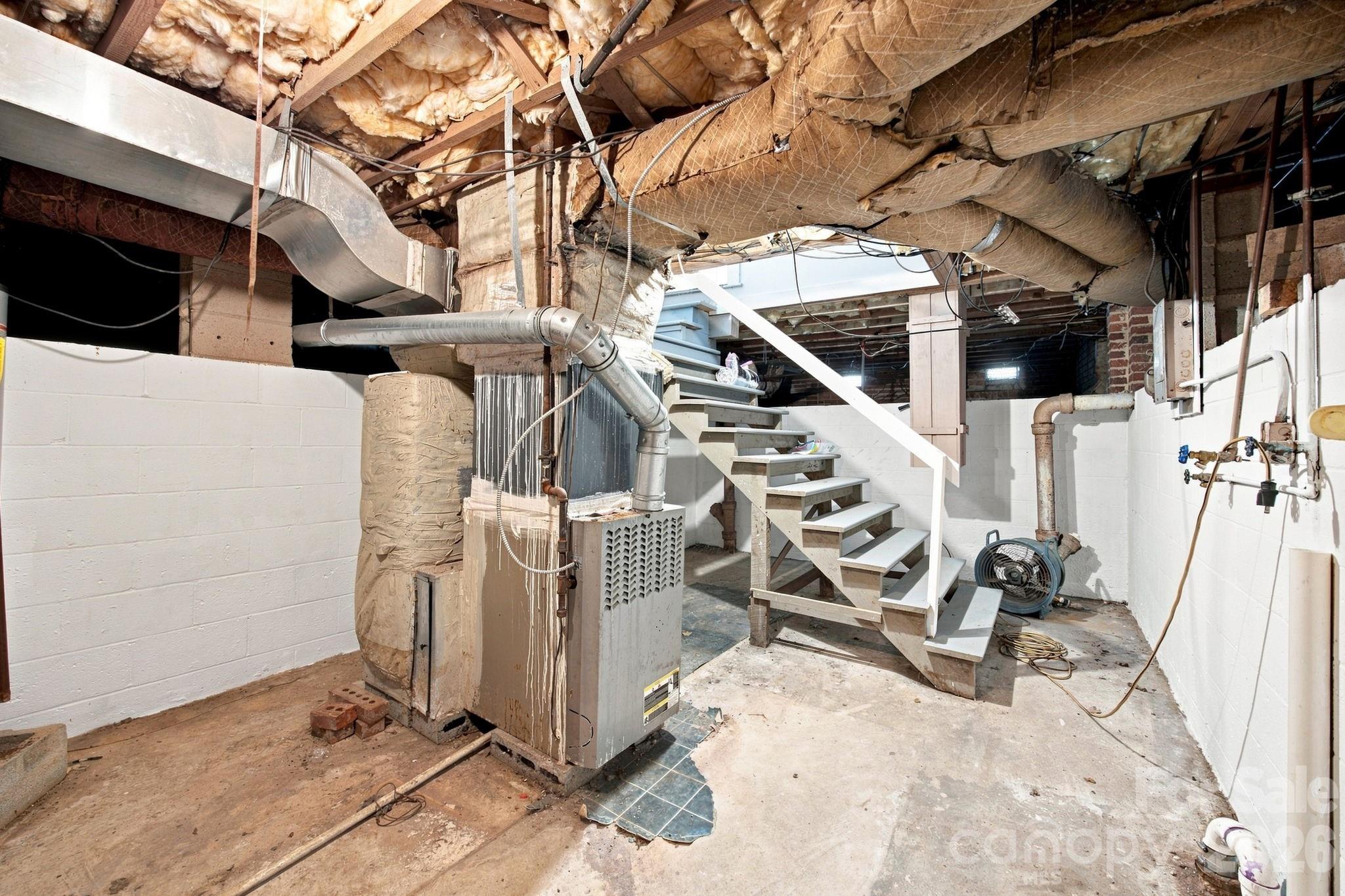 Basement/Crawl Space - 110 Confederate Avenue, Salisbury