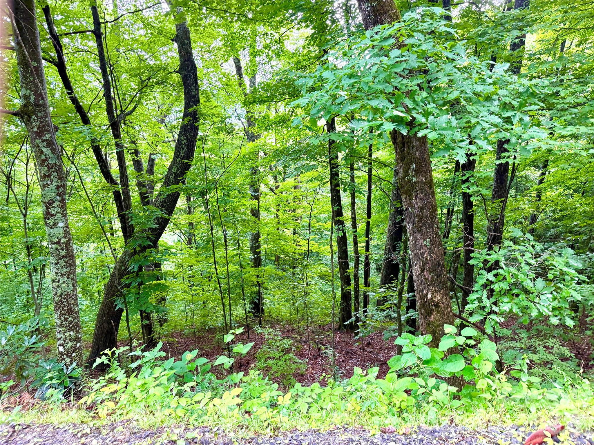 Lot at 505 Mountainside Drive, Waynesville, photo 3 of 20