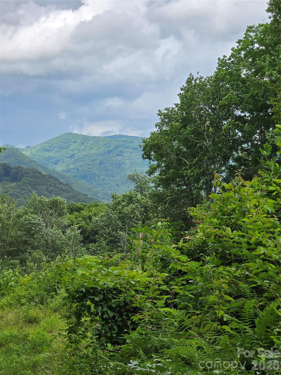 Mountain Views to be enjoyed from the lot. - 52 Lantern Ridge, Maggie Valley