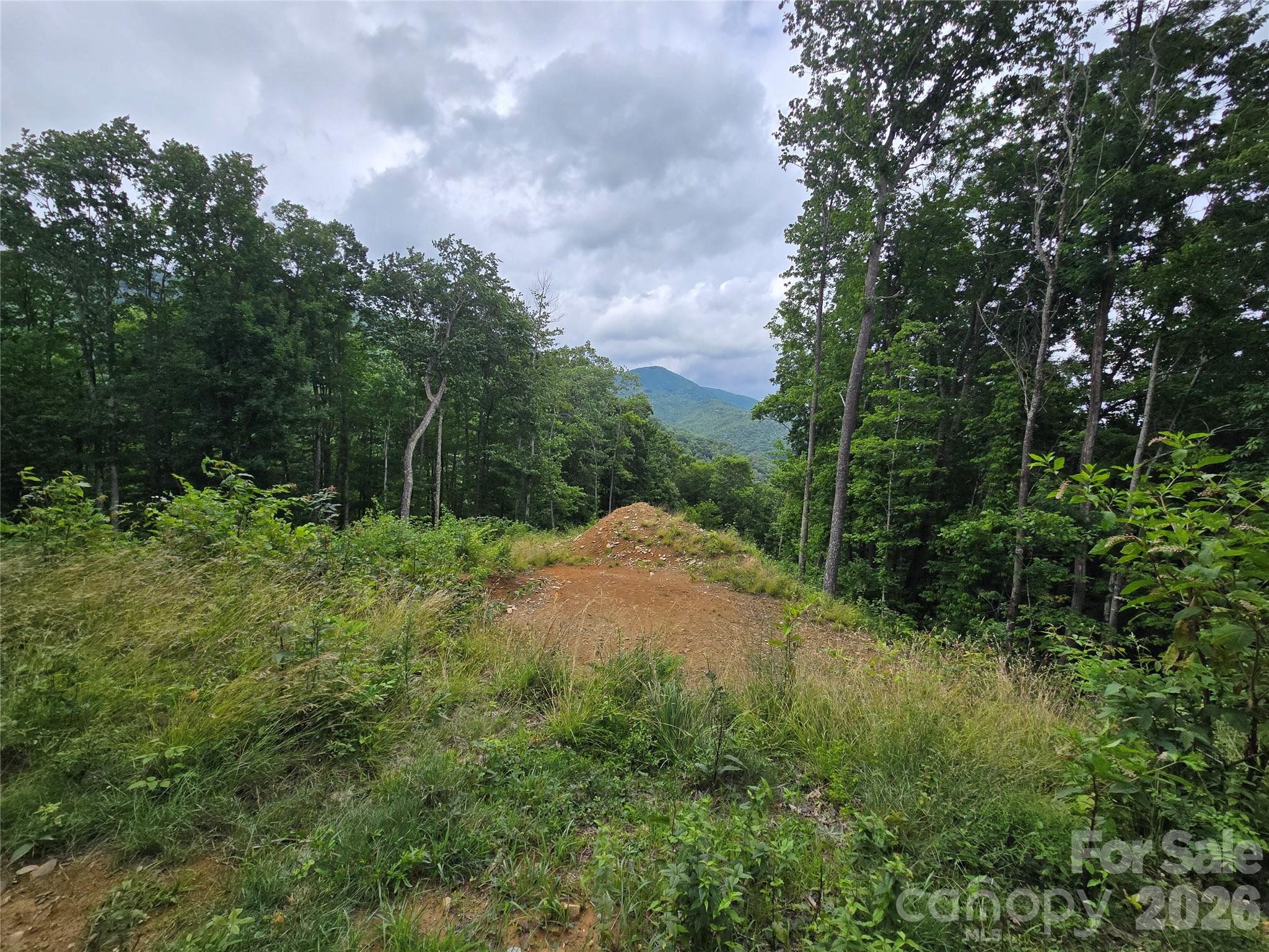 Lot at 52 Lantern Ridge, Maggie Valley, photo 12 of 20