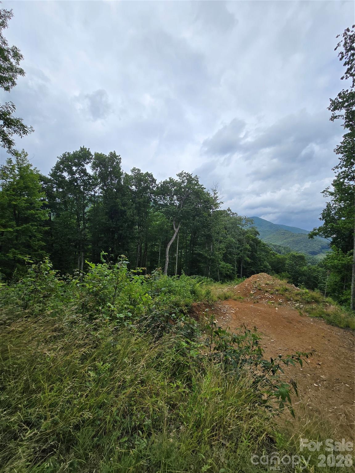 Lot at 52 Lantern Ridge, Maggie Valley, photo 13 of 20