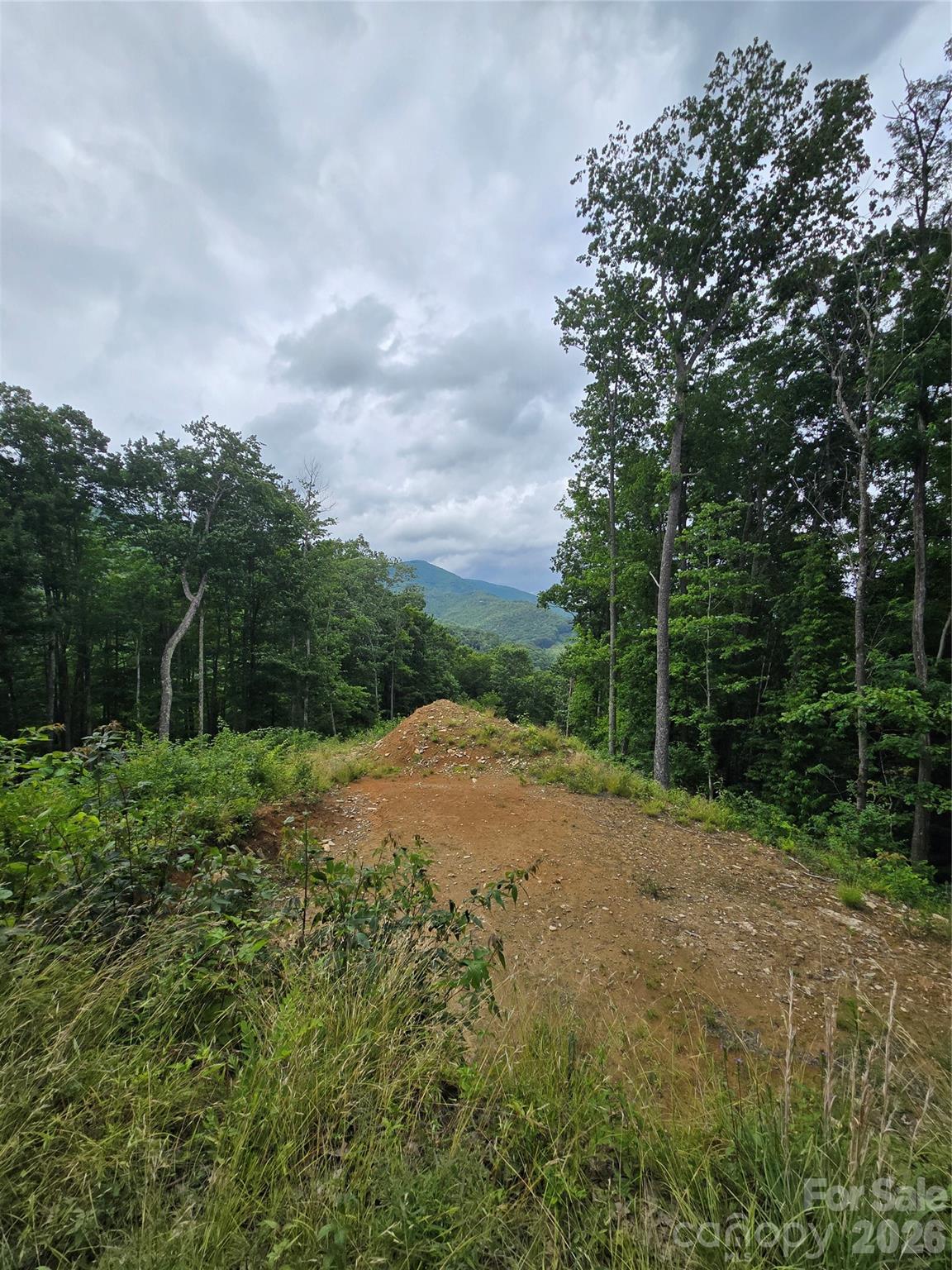 Lot at 52 Lantern Ridge, Maggie Valley, photo 14 of 20