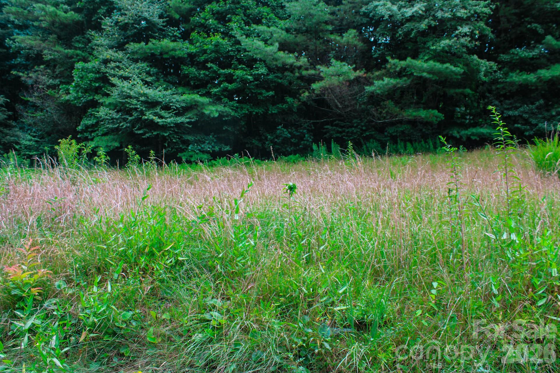 Acreage at 3454 Puncheon Fork Road, Mars Hill, photo 30 of 42