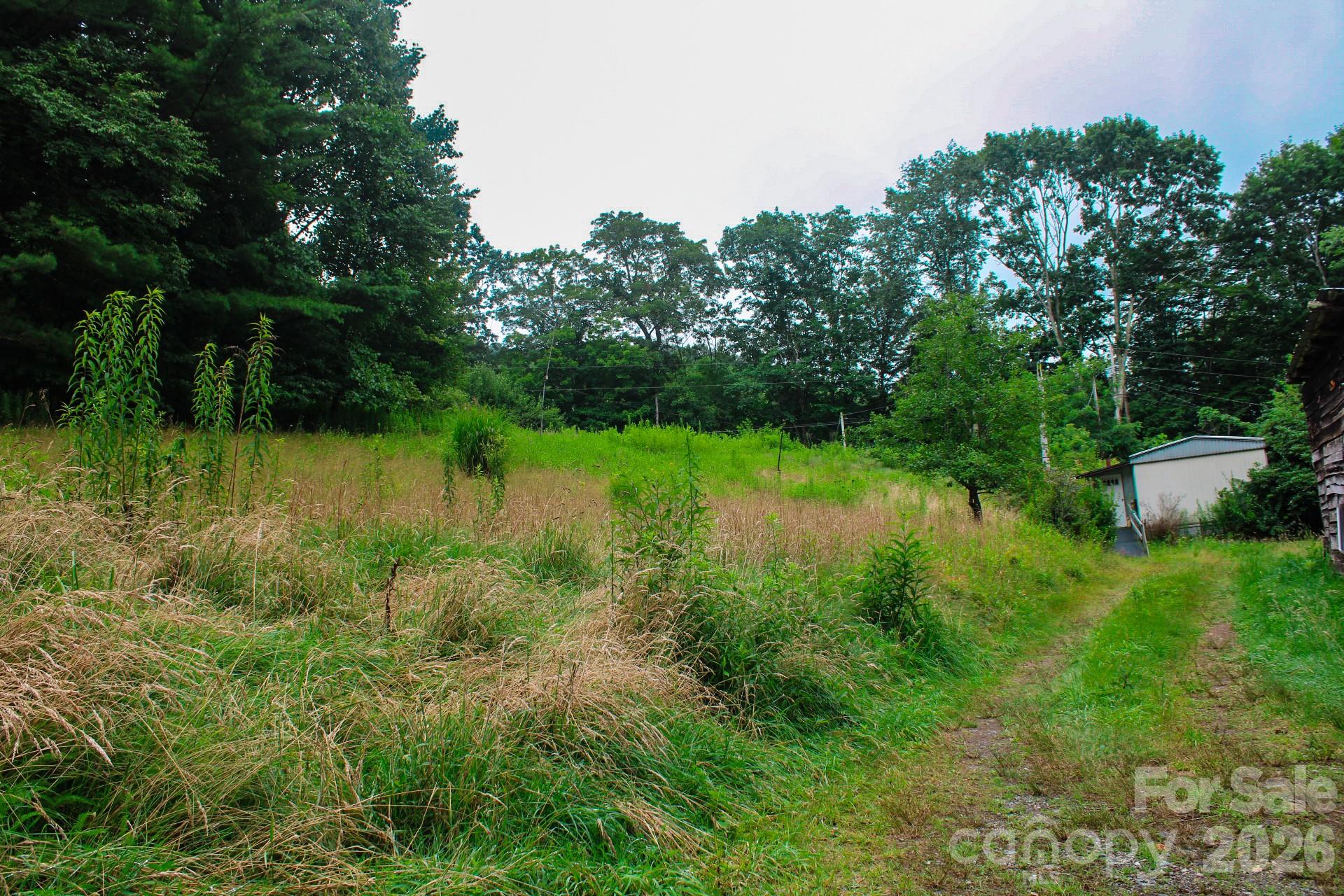 Acreage at 3454 Puncheon Fork Road, Mars Hill, photo 36 of 42