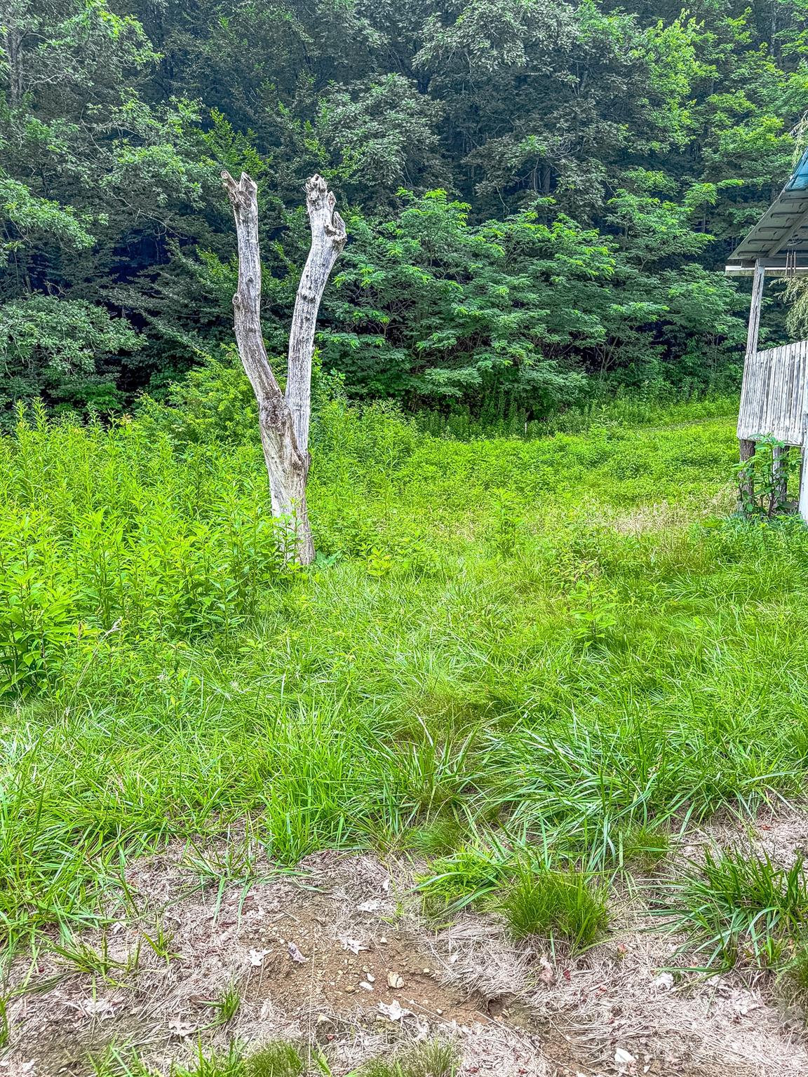 Acreage at 3454 Puncheon Fork Road, Mars Hill, photo 42 of 42
