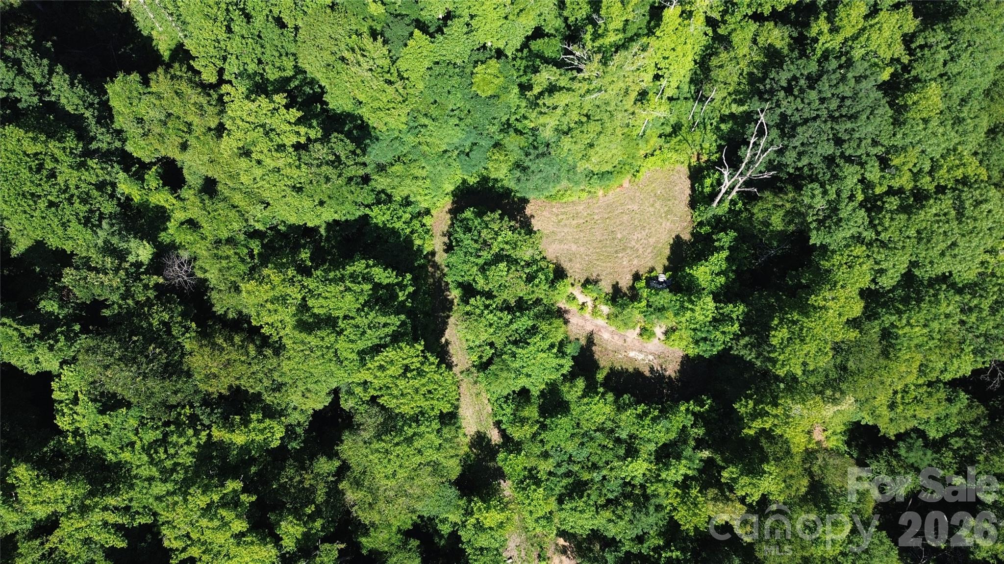 Superior, totally flat build site on Lot 2B. - 99999 Morgan Hill Road, Black Mountain