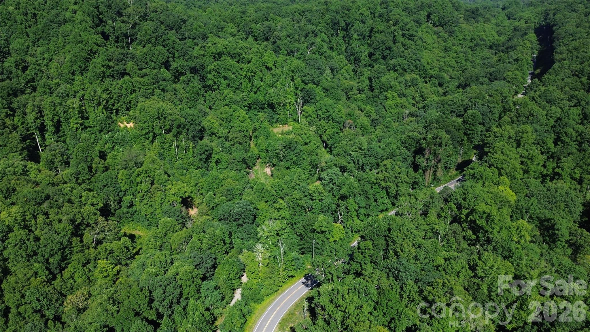 Acreage at 99999 Morgan Hill Road, Black Mountain, photo 6 of 22