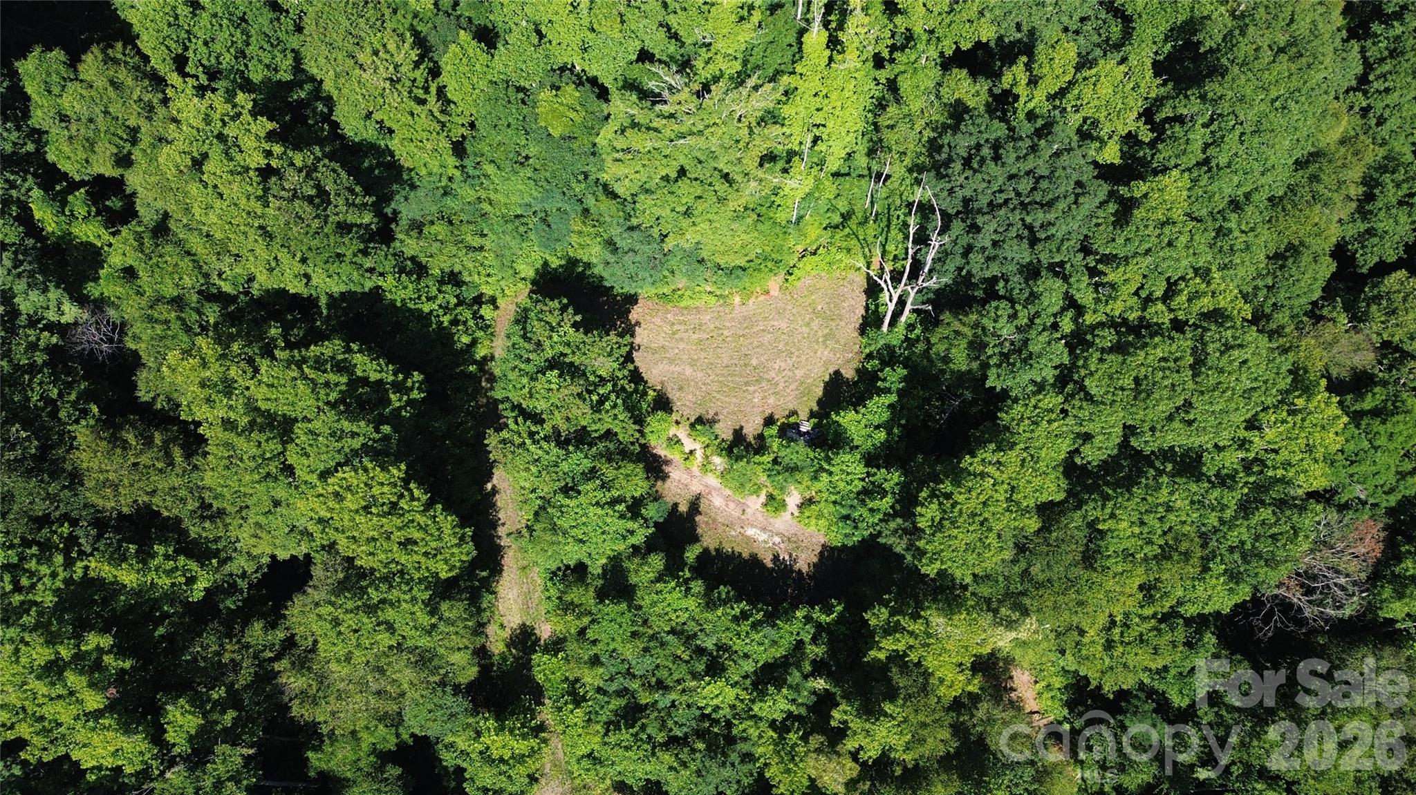 Aerial of Level Build Site on Lot 2B. - 99999 Morgan Hill Road, Black Mountain