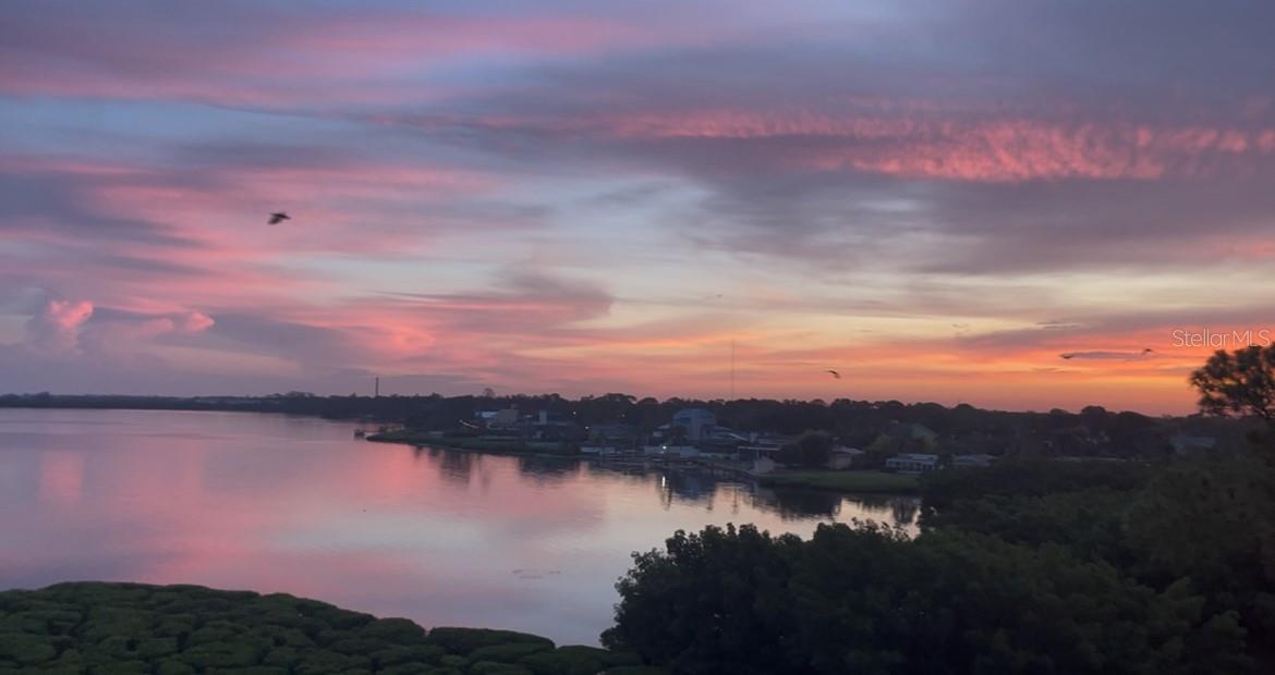 Stunning Sunset View from Unit - 243 MARINER DR #243, TARPON SPRINGS