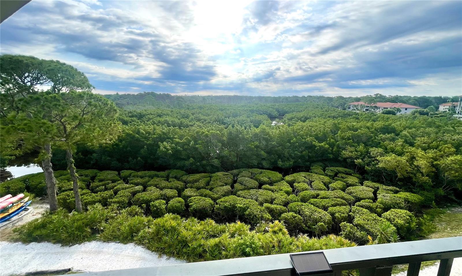 View of Nature Preserve from Balcony - 243 MARINER DR #243, TARPON SPRINGS