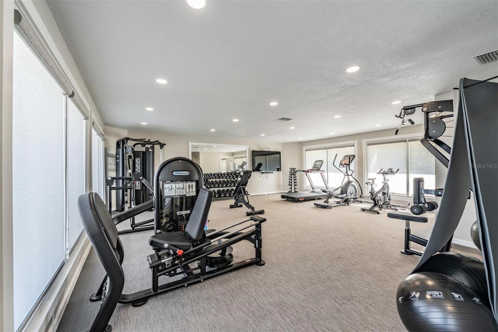 Recently Renovated Gym - 243 MARINER DR #243, TARPON SPRINGS