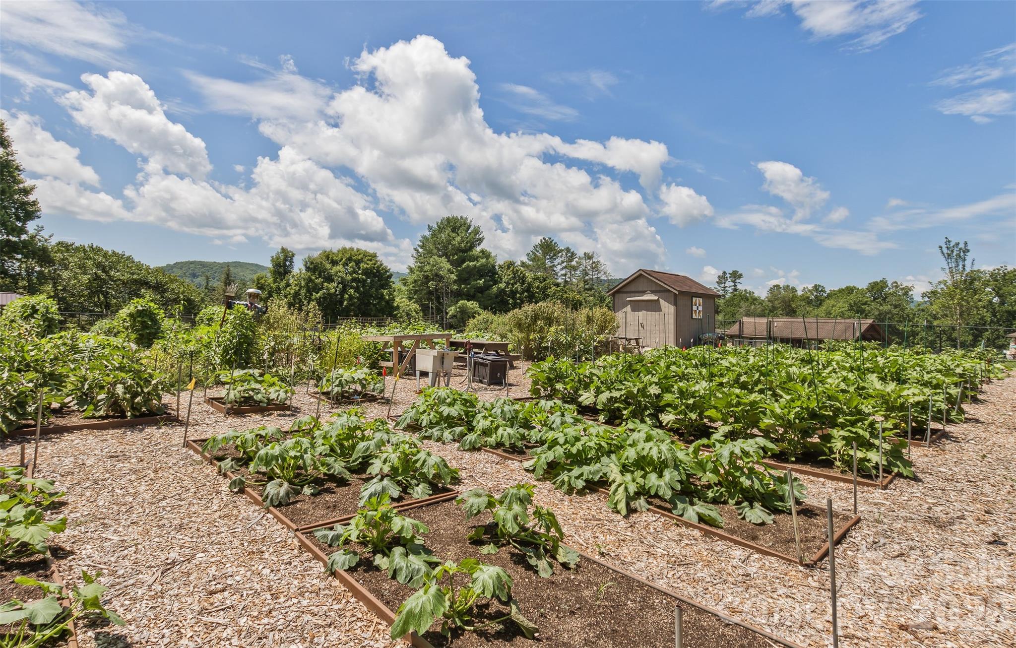 Victory Garden - 100 Titleist Way, Hendersonville