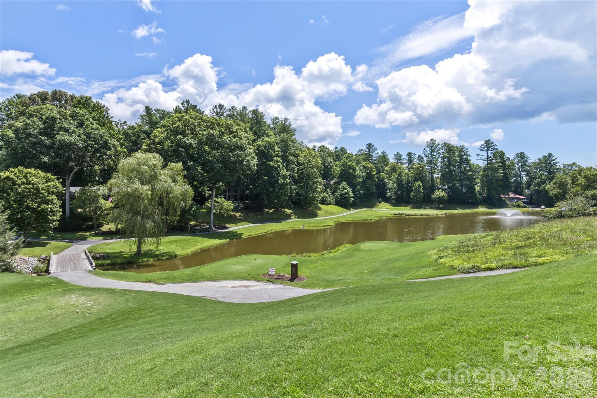 Beauty at every turn - 100 Titleist Way, Hendersonville