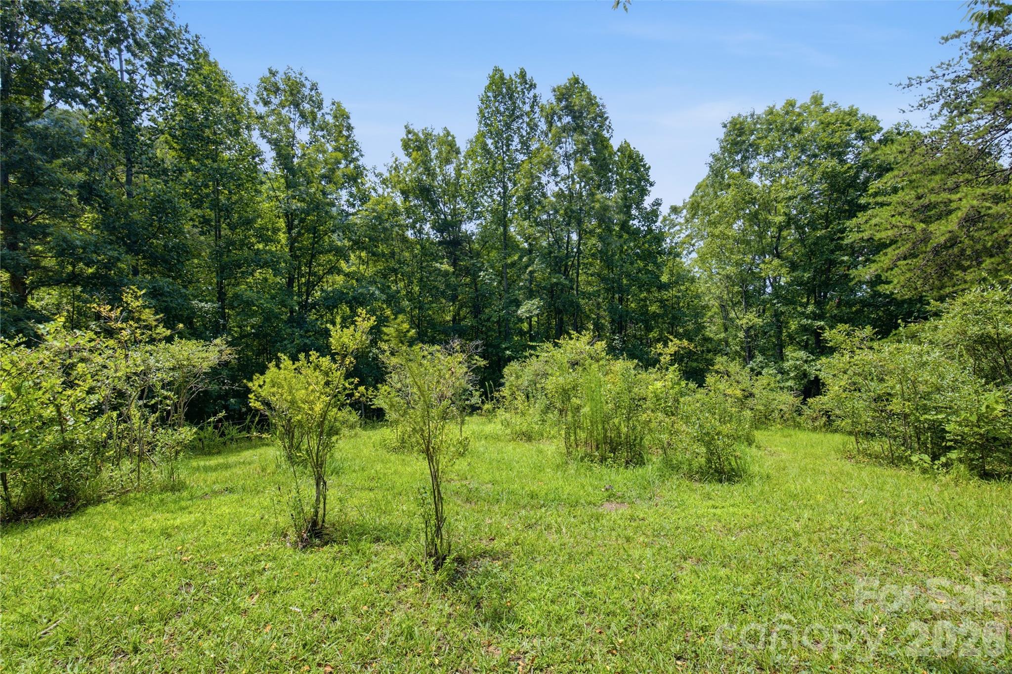 Fruit trees - 316-318 Cane Creek Mountain Road, Union Mills