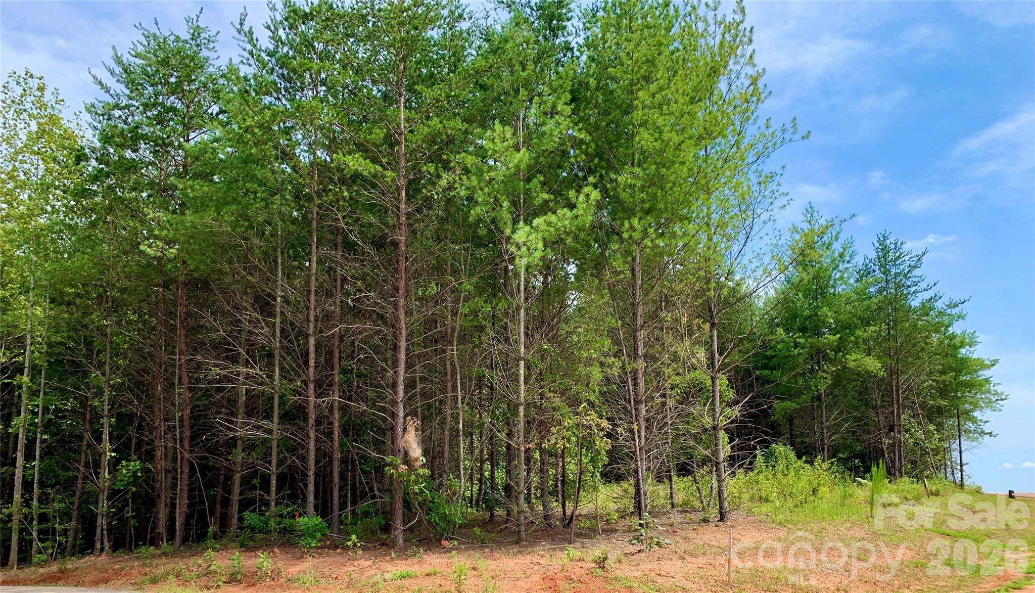2.35 acres, Lot G49, 2069 Hitching Post Trail