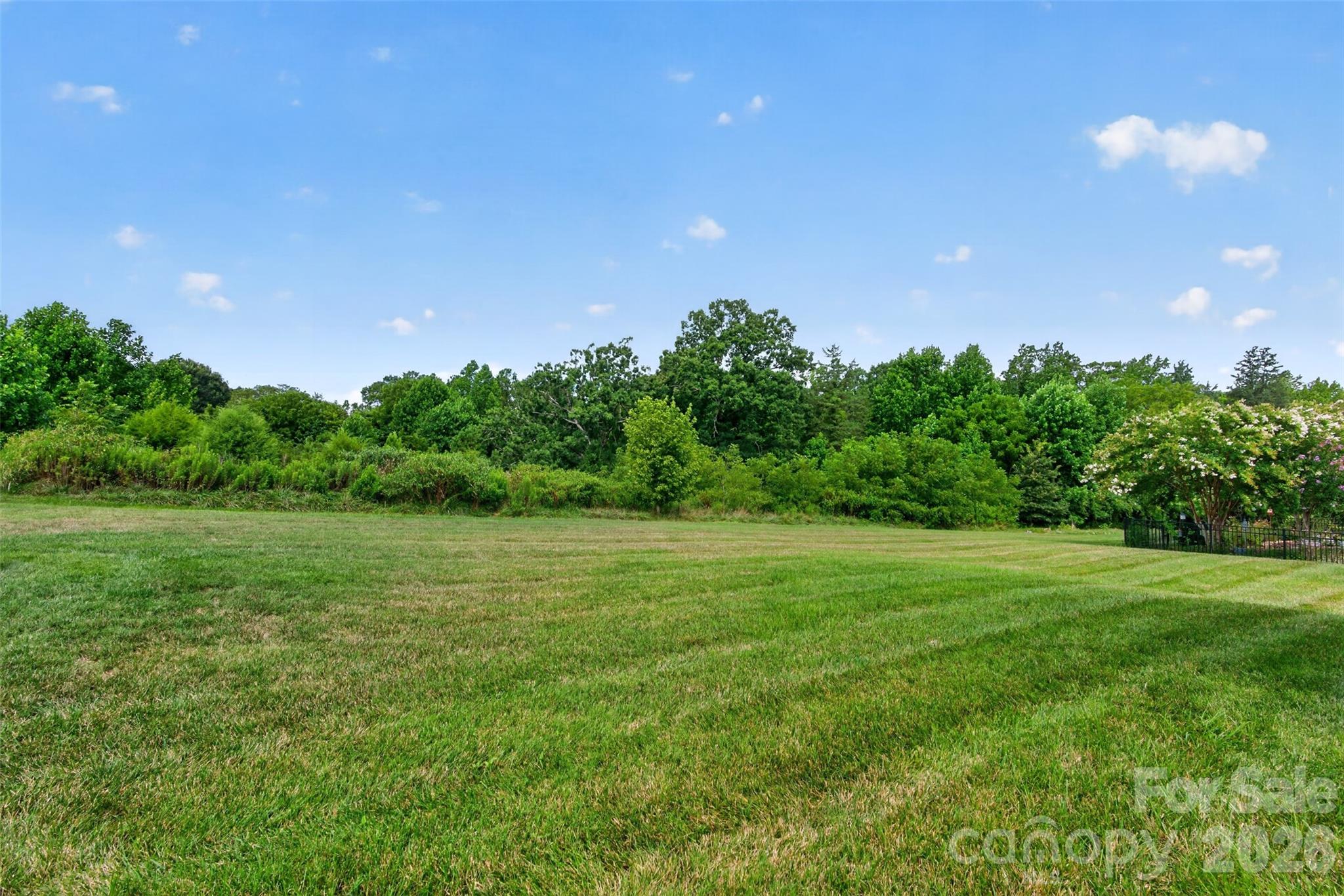 back yard privacy - 127 Johnson Manor Street, Mooresville