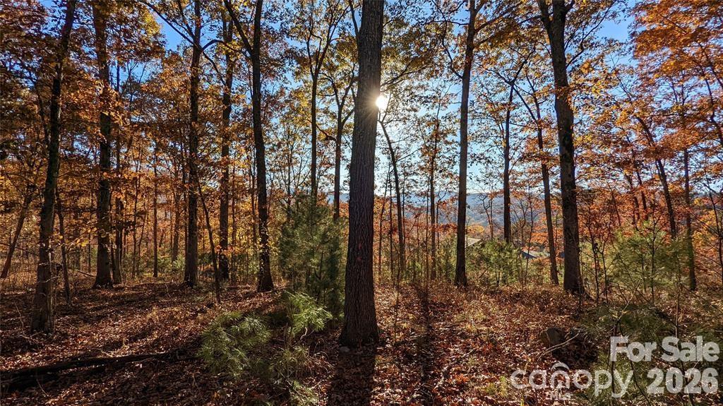 Lot at 512 Wild River Run, Marshall, photo 2 of 11
