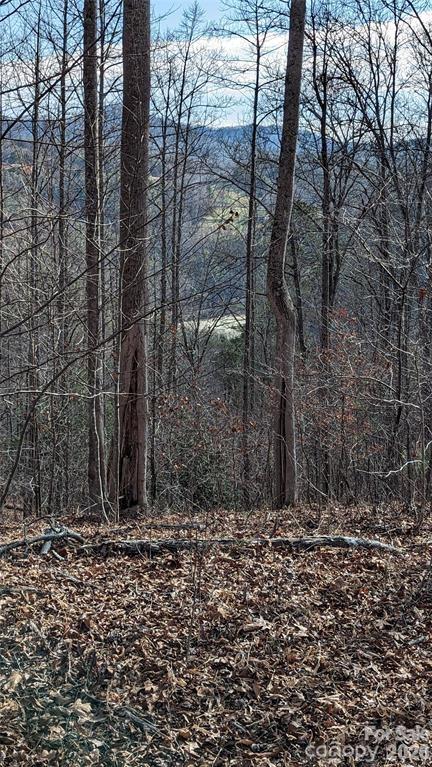 Lot at 512 Wild River Run, Marshall, photo 3 of 11