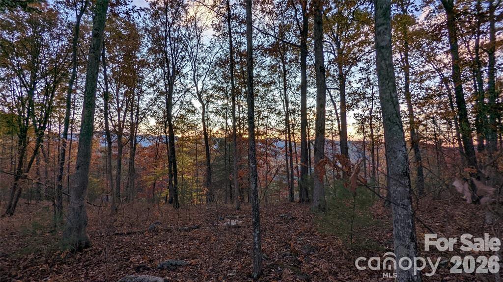 Lot at 512 Wild River Run, Marshall, photo 4 of 11