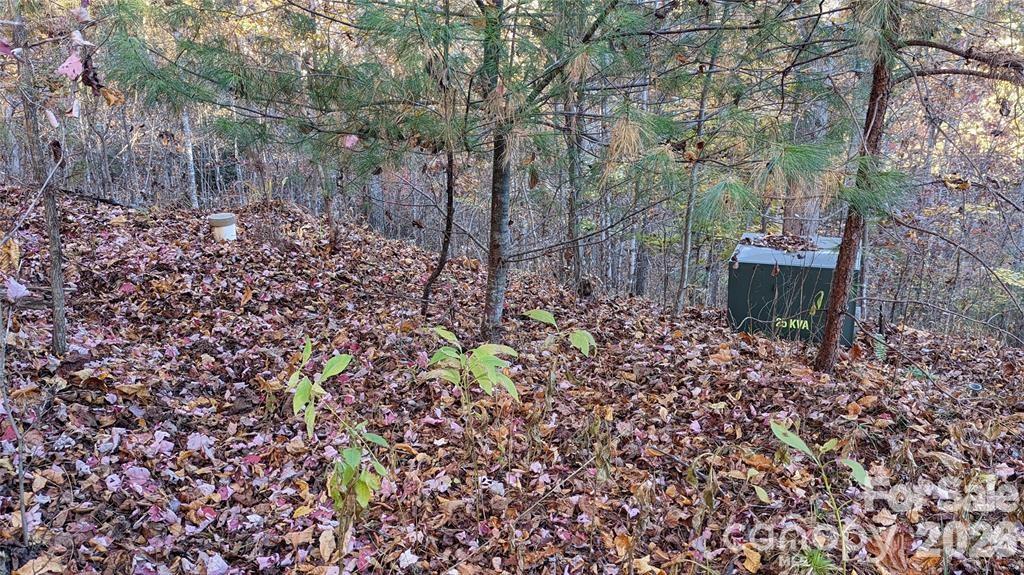 Lot at 512 Wild River Run, Marshall, photo 5 of 11