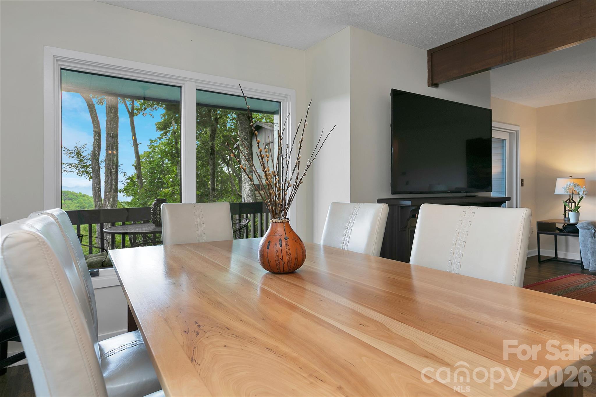 Condominium at 264 Tinequa Drive, Brevard, photo 21 of 41
