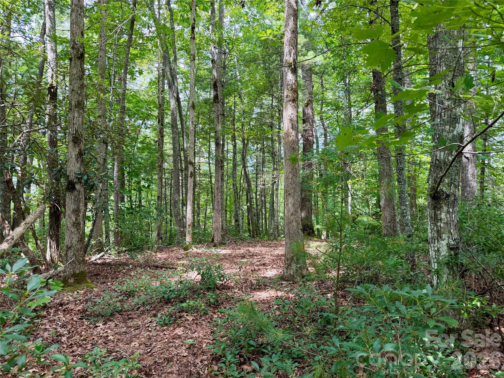 Lot at 1156 Bear River Lodge Trail, Marshall, photo 11 of 48