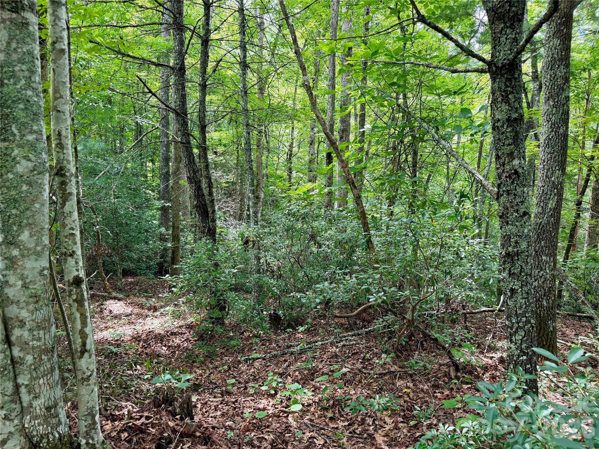 Lot at 1156 Bear River Lodge Trail, Marshall, photo 12 of 48