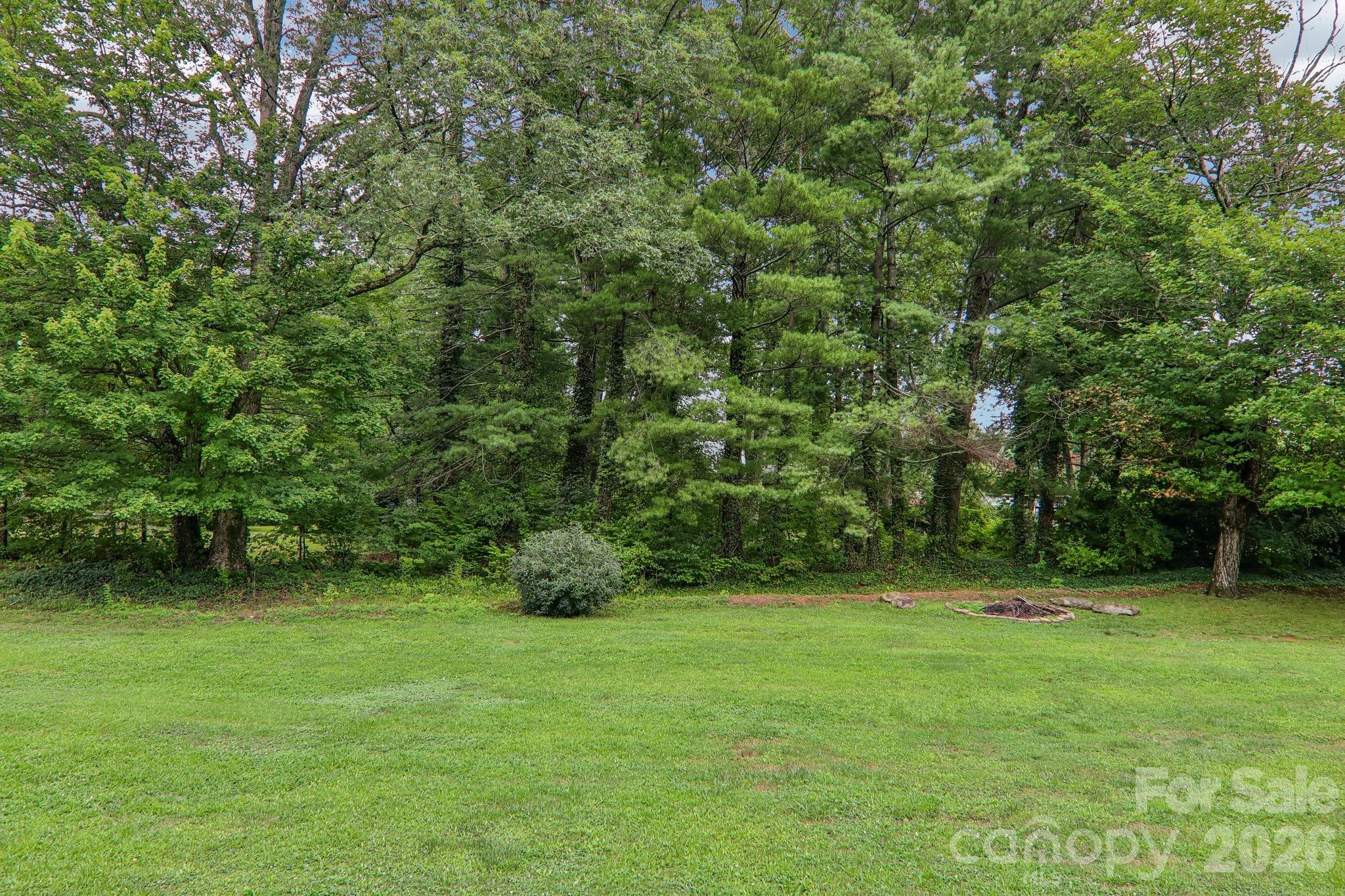 Trees in backyard - 3311 Sandy Drive, Hendersonville