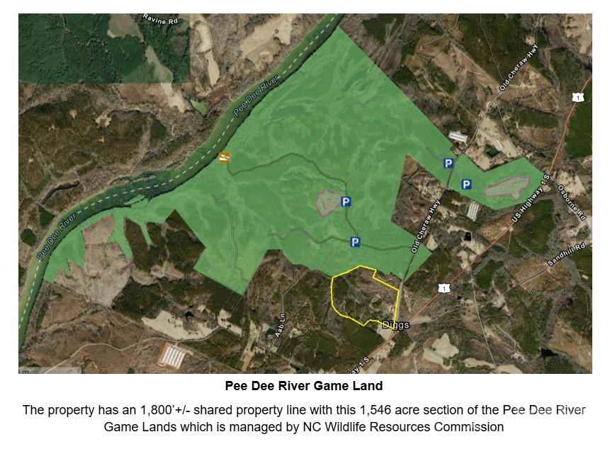 Common boundary with Pee Dee River Game Land - 1726-c Old Cheraw Highway, Rockingham
