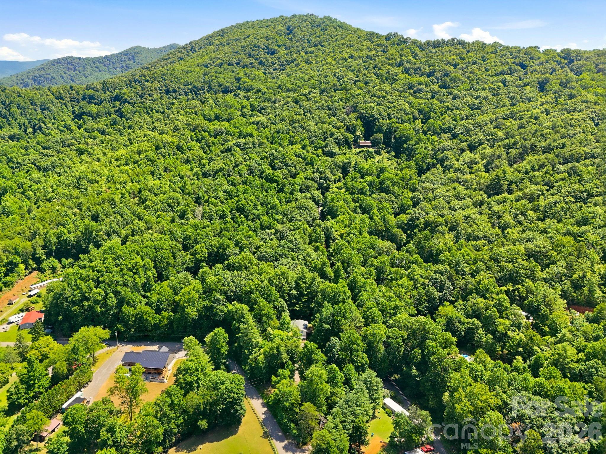 What an amazing Mountain Setting! - 95 Walker Cove Road, Black Mountain