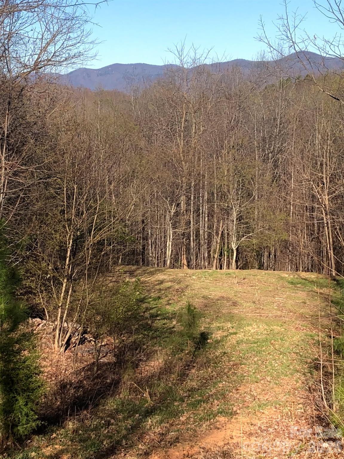 Lower acreage with Mtn.Views - 453 Grandview Peaks Drive, Nebo