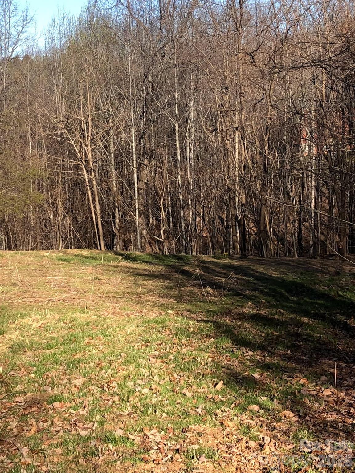 Lower acreage 2022 with pasture cleared - 453 Grandview Peaks Drive, Nebo