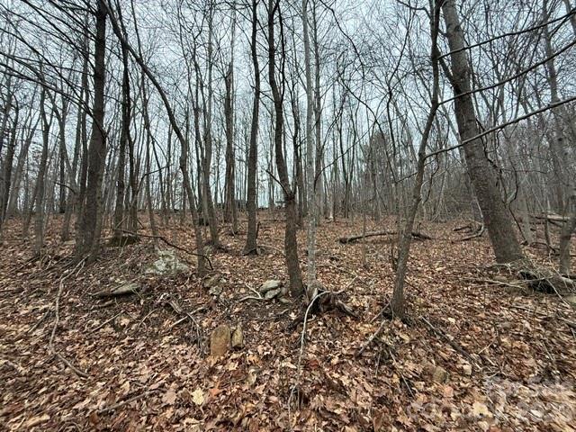 0 Treadway Ridge Road