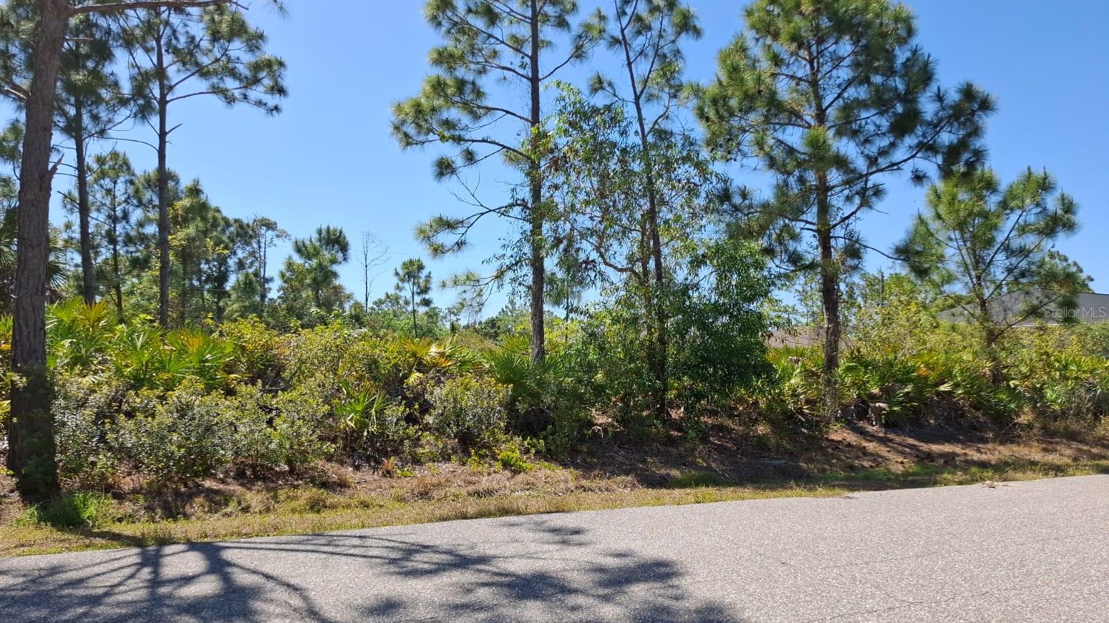 Land at 5541 GULFPORT TER, PORT CHARLOTTE, photo 3 of 8
