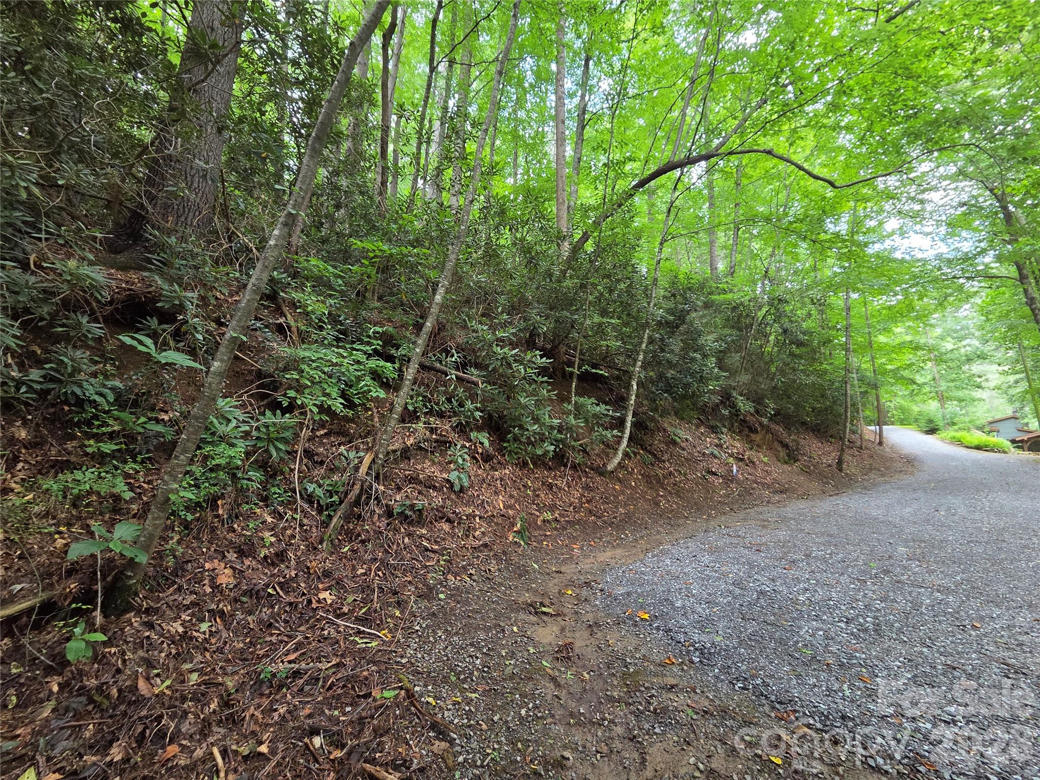 Lot at 230 Serendipity Lane, Waynesville, photo 2 of 17