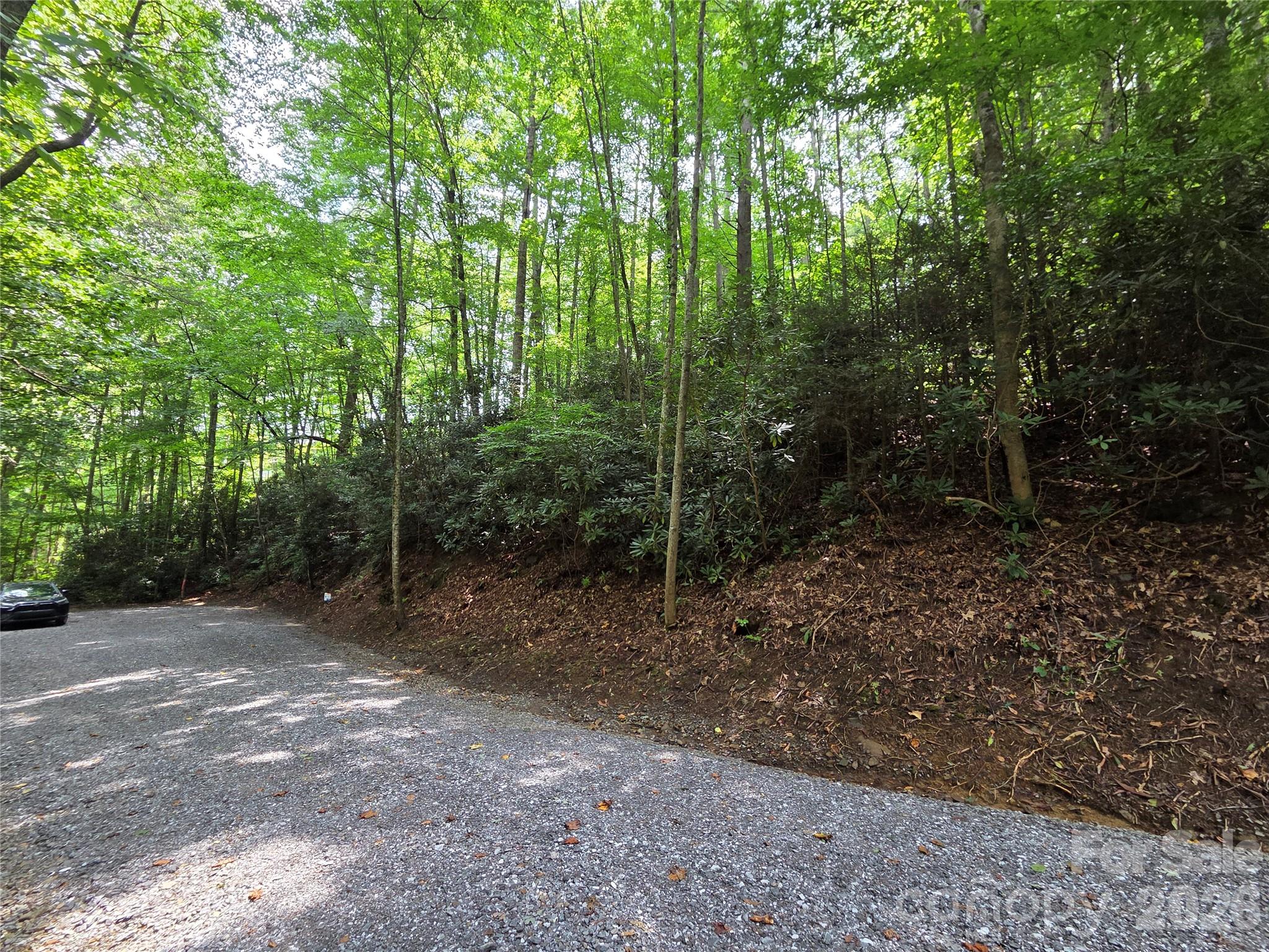 Lot at 230 Serendipity Lane, Waynesville, photo 4 of 17
