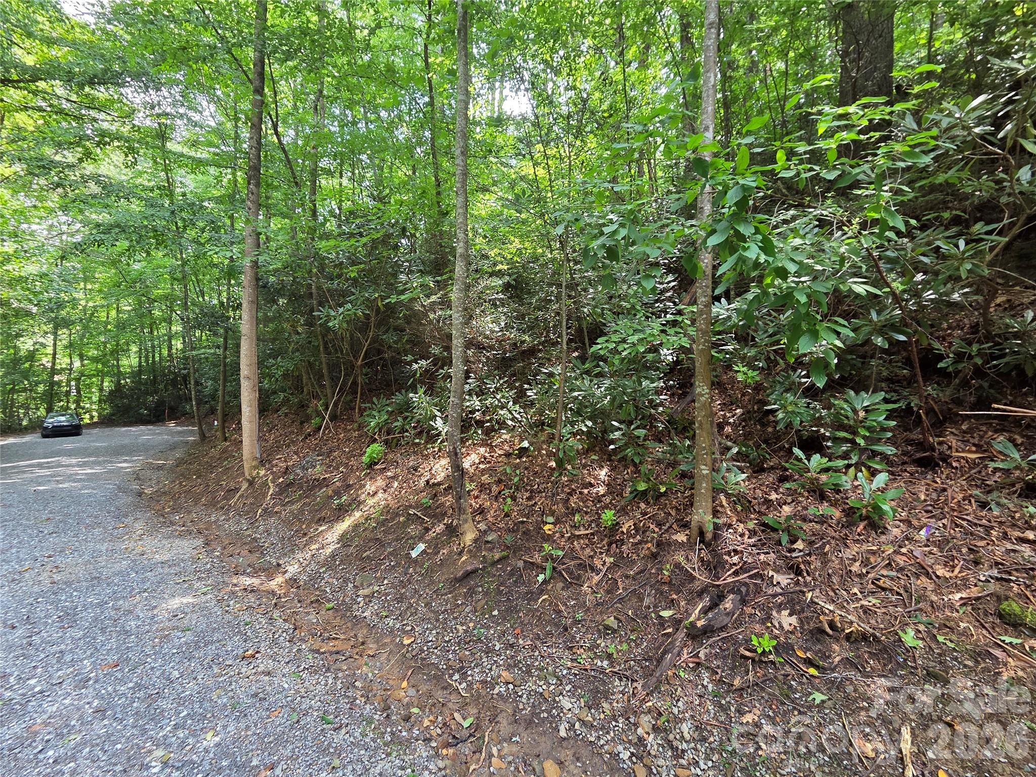 Lot at 230 Serendipity Lane, Waynesville, photo 5 of 17