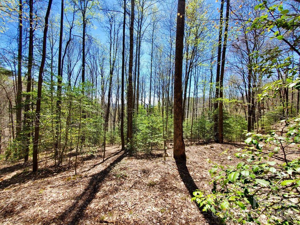 Lot 9 Hemlock Falls Drive