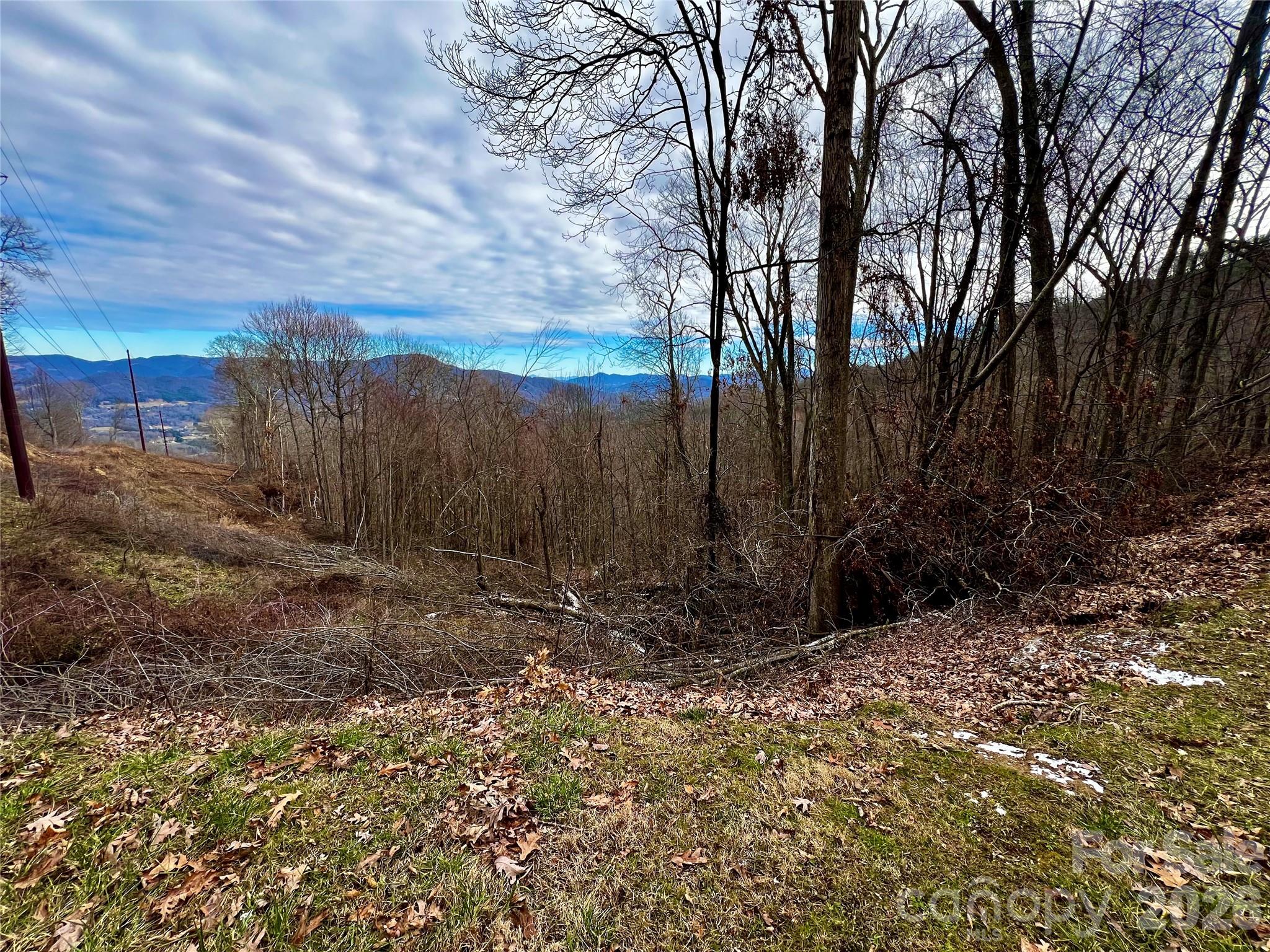 Acreage at 4 and 4b Salisbury Cove, Waynesville, photo 2 of 17