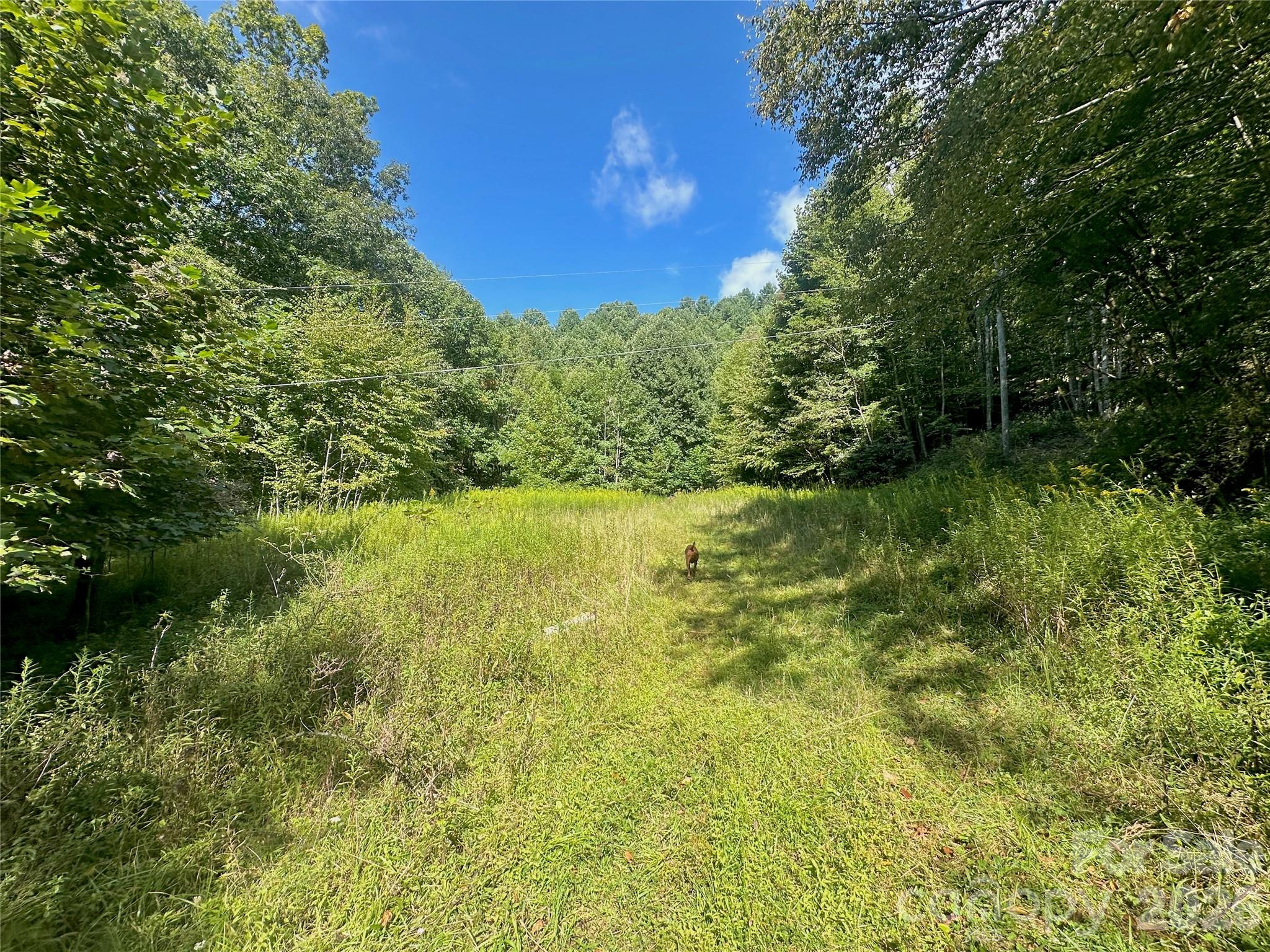 Acreage at TBD old anderson quarry Road, Vilas