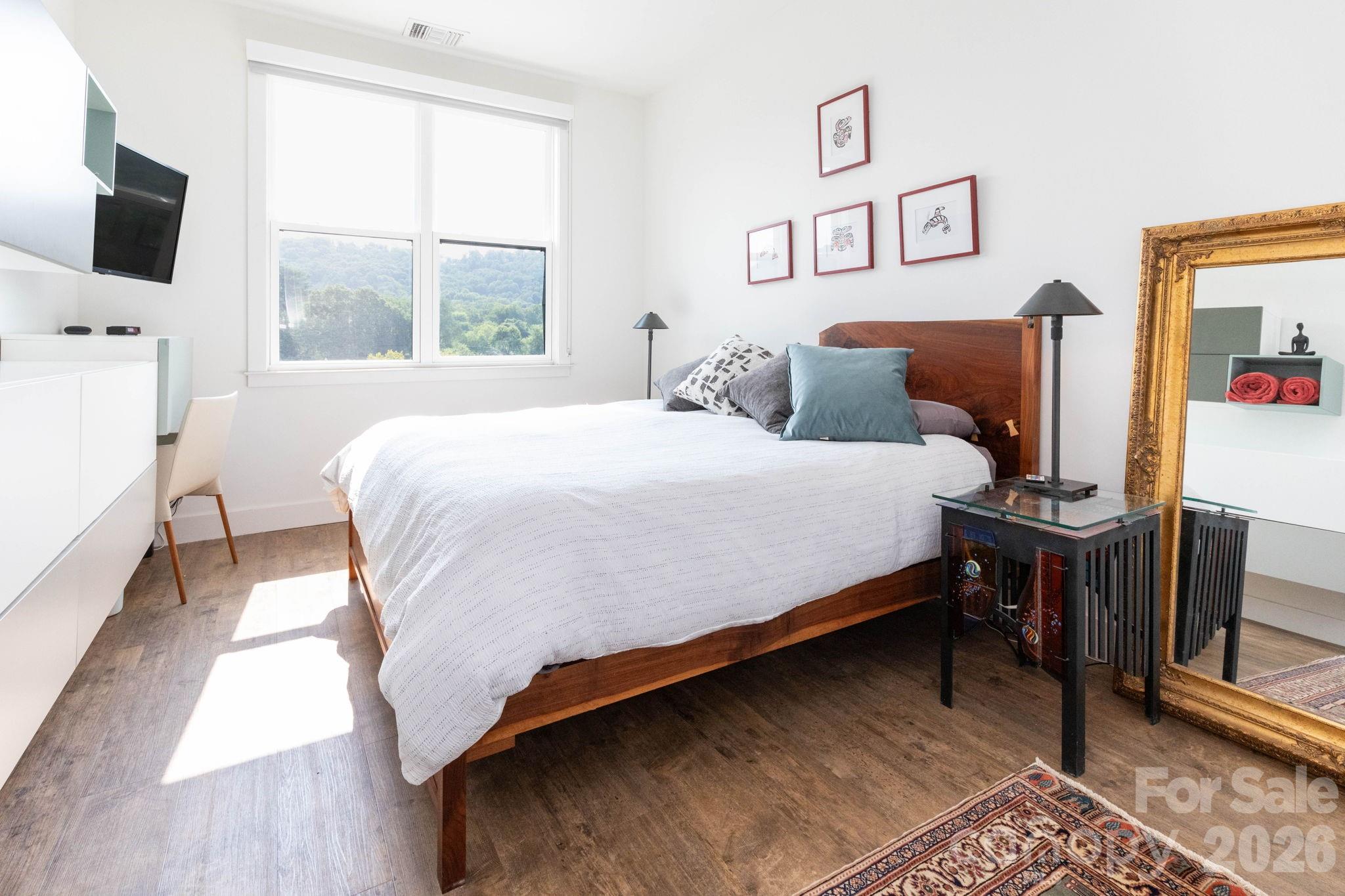 Condominium at 55 S Market Street, Asheville, photo 14 of 30