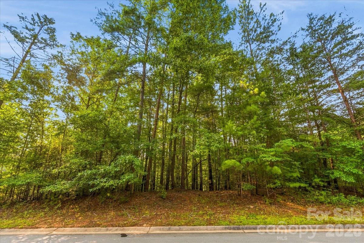 Lot at 178 Lentz Landing Lane, Nebo, photo 5 of 32