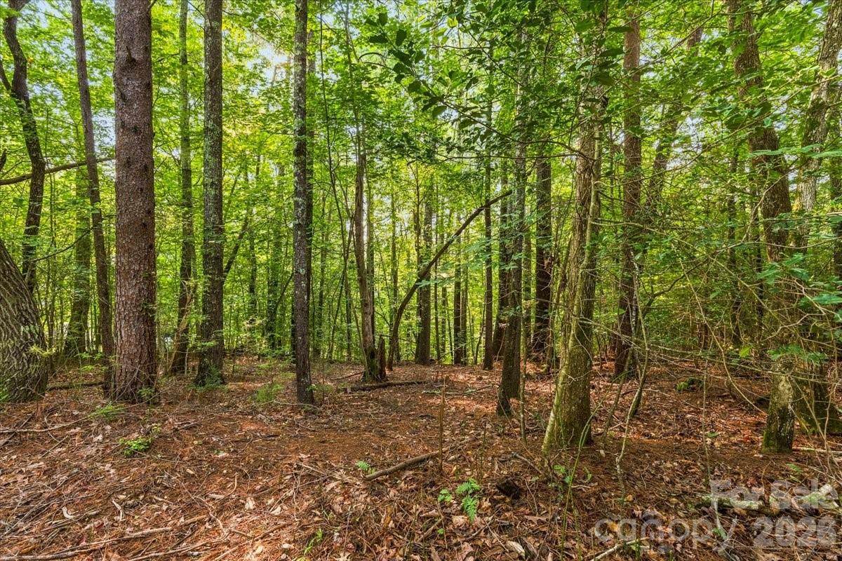 Lot at 178 Lentz Landing Lane, Nebo, photo 6 of 32