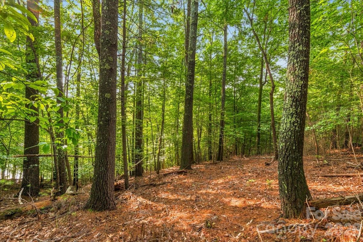 Lot at 178 Lentz Landing Lane, Nebo, photo 7 of 32