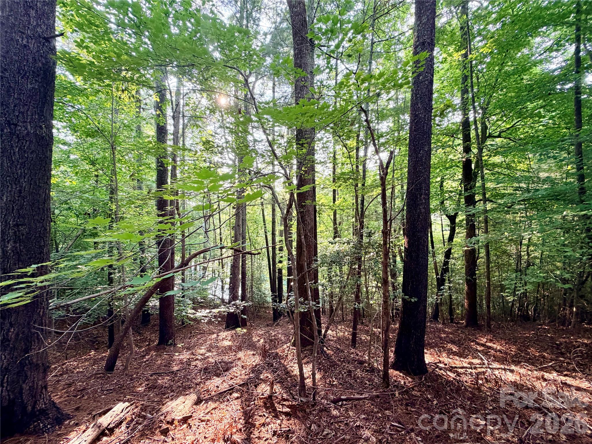 Lot at 178 Lentz Landing Lane, Nebo, photo 8 of 32