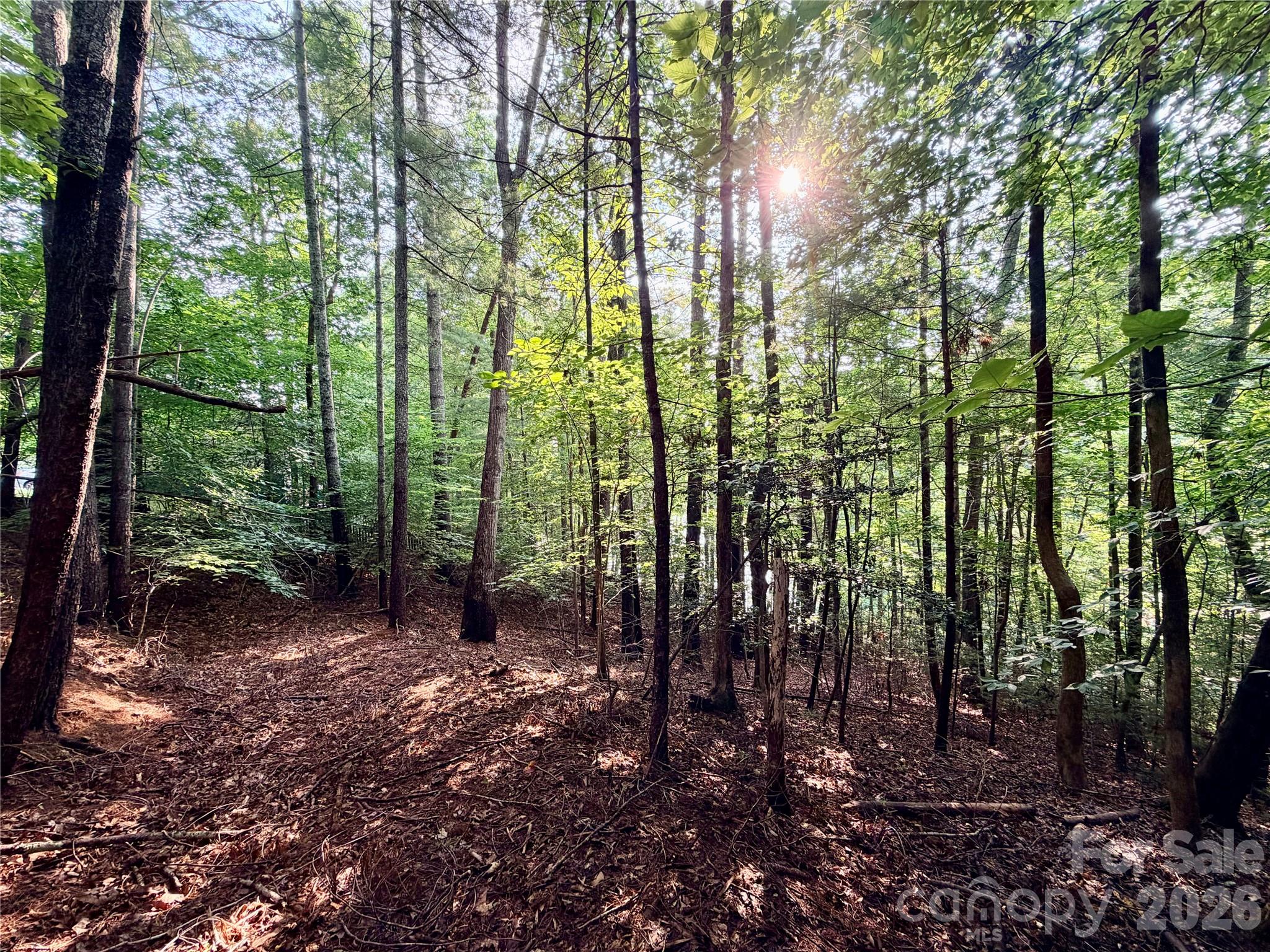 Lot at 178 Lentz Landing Lane, Nebo, photo 9 of 32
